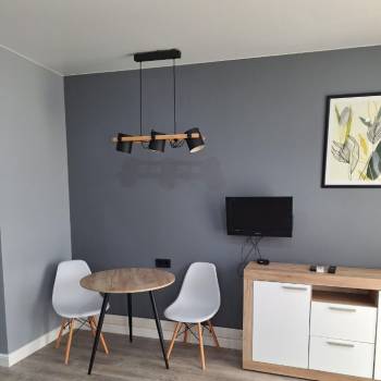 Сдается 1-комнатная квартира, 30,2 м²