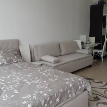 Сдается 1-комнатная квартира, 29,5 м²