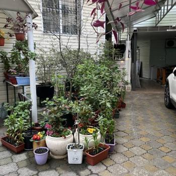 Сдается Комната, 30 м²