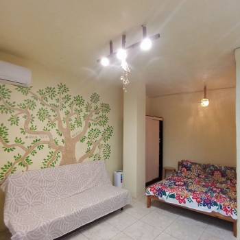 Сдается 1-комнатная квартира, 24 м²