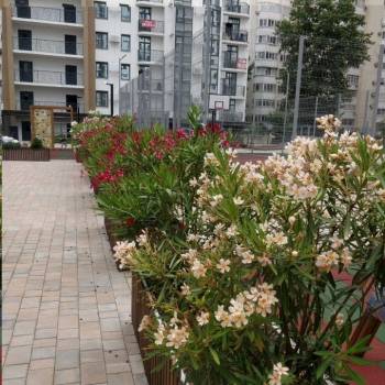 Продается 2-х комнатная квартира, 40 м²