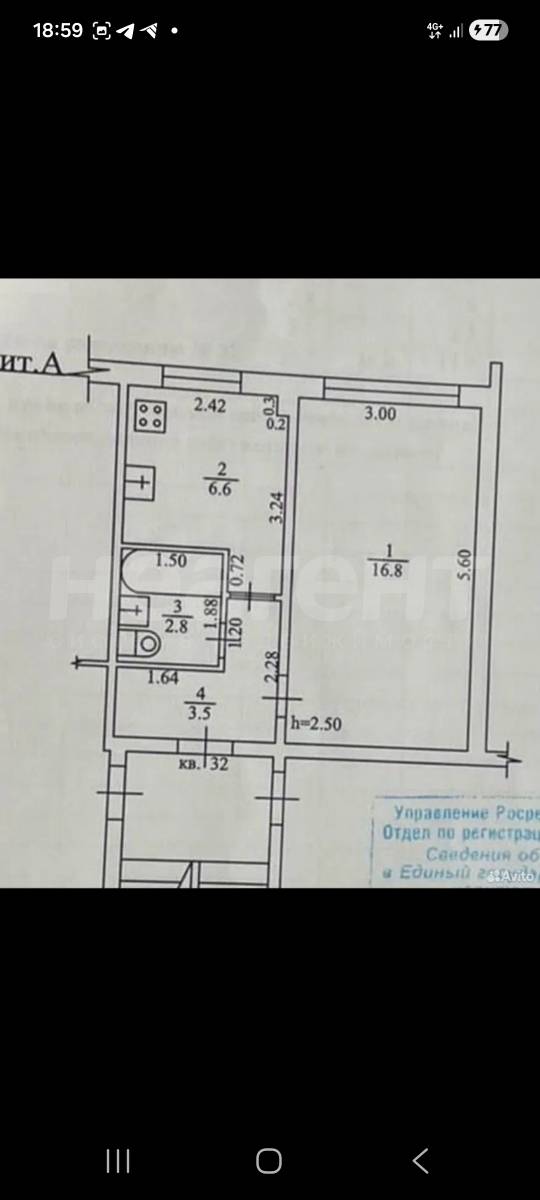 Фотография №7