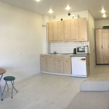 Продается 1-комнатная квартира, 24,5 м²