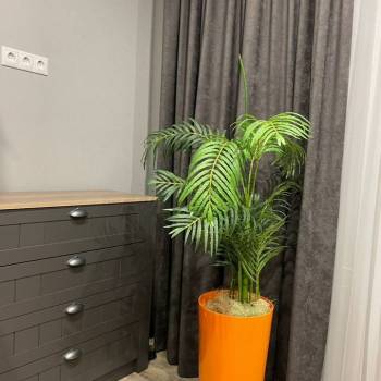 Продается 1-комнатная квартира, 33 м²