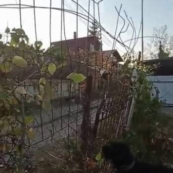 Продается Участок, 420 м²