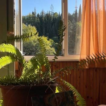 Сдается Комната, 20 м²
