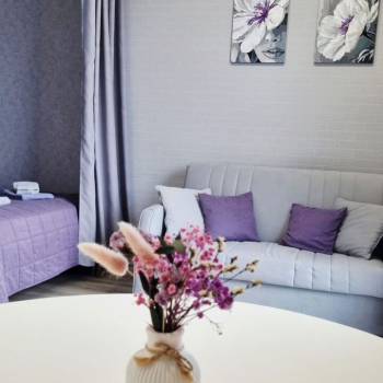 Сдается 1-комнатная квартира, 28 м²