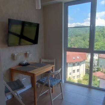 Сдается 1-комнатная квартира, 25,4 м²