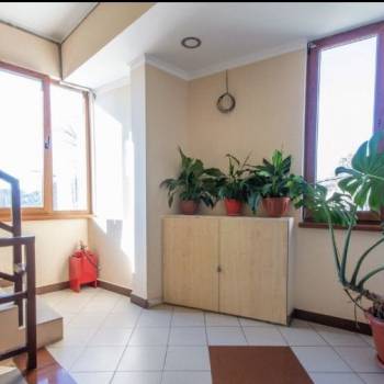 Сдается 1-комнатная квартира, 33,1 м²
