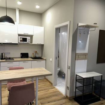 Сдается 1-комнатная квартира, 24,9 м²