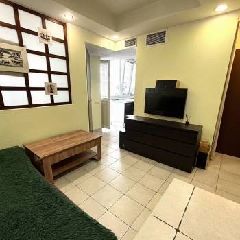 Продается 1-комнатная квартира, 31,3 м²
