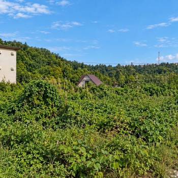 Продается Участок, 590 м²