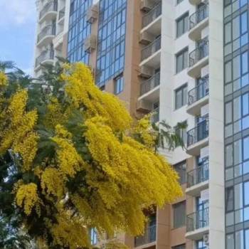 Продается 2-х комнатная квартира, 42 м²