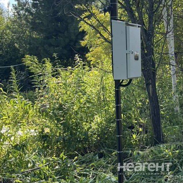 Фотография №3