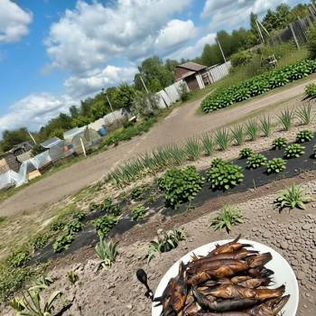 Продается Дом, 20 м²