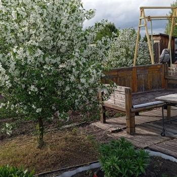 Продается Дом, 50 м²