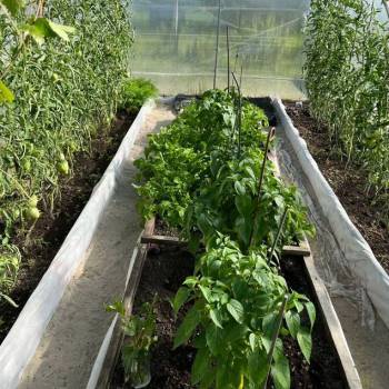 Продается Дом, 30 м²