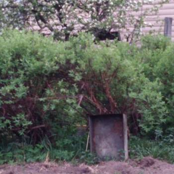 Продается Участок, 430 м²