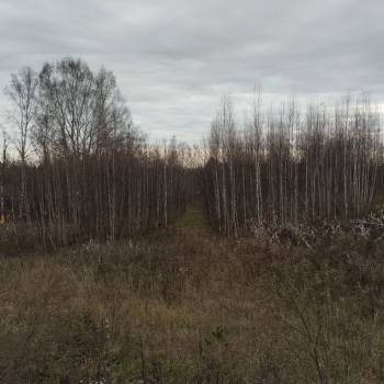 Продается Участок, 2000 м²