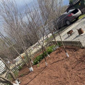 Продается Дом, 68 м²