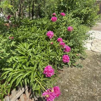 Продается Дом, 68 м²