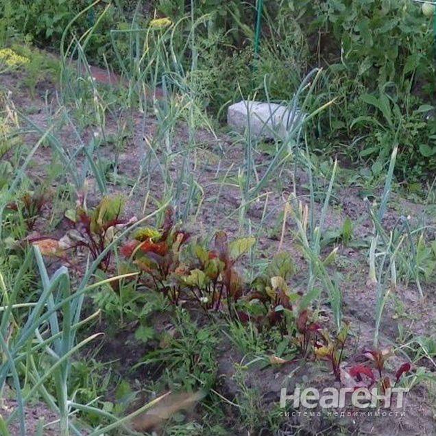 Продам дачу, Томский р-н, Богашёвское с. п., СТ Учитель, собственник