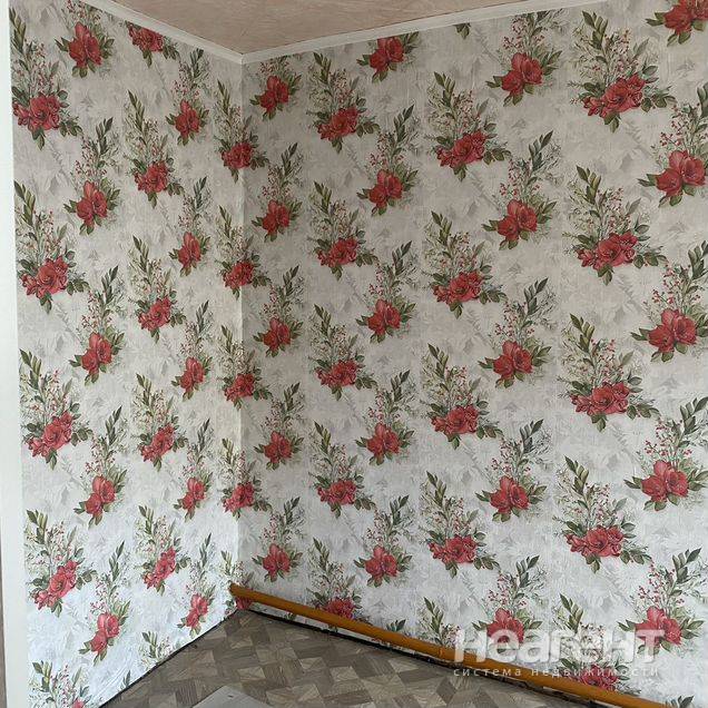 Фотография №3