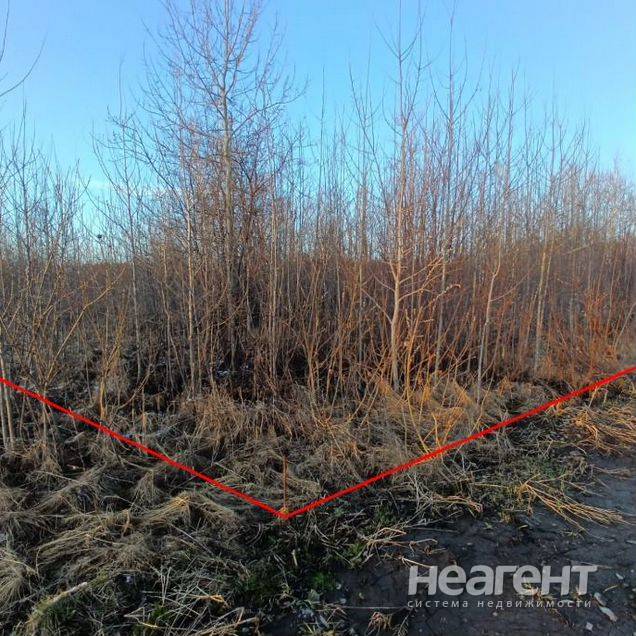 Продам участок (СНТ, ДНП), ДНТ Эдем, ул. Снежная, не агентство