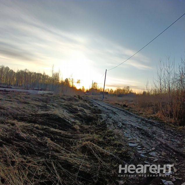 Фотография №2