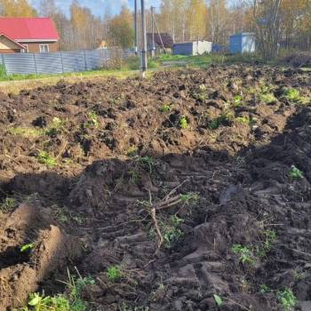 Продается Участок, 800 м²