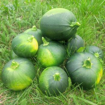 Продается Дом, 10 м²