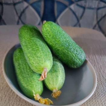 Продается Дом, 10 м²