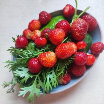 Продается Дом, 10 м²