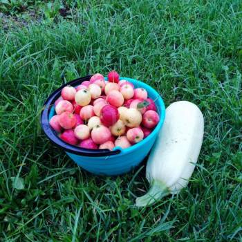 Продается Дом, 10 м²