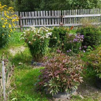 Продается Участок, 780 м²