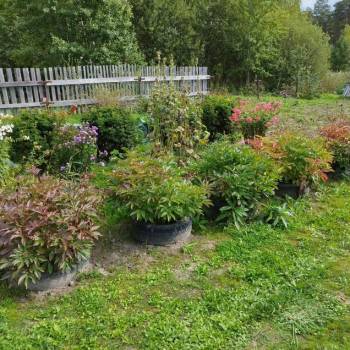 Продается Участок, 780 м²