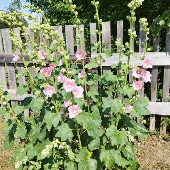 Продается Участок, 780 м²