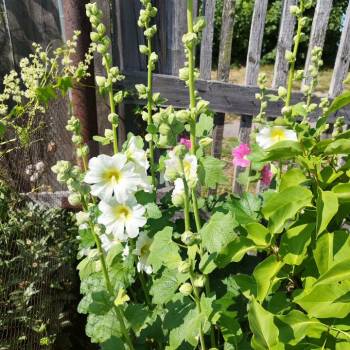 Продается Участок, 780 м²