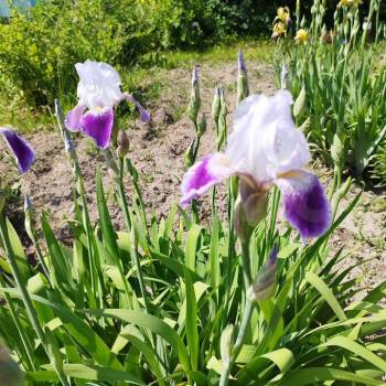 Продается Участок, 780 м²