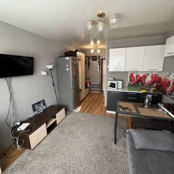 Продается 1-комнатная квартира, 16,7 м²