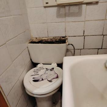 Сдается 1-комнатная квартира, 14 м²
