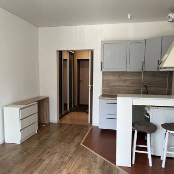Сдается 1-комнатная квартира, 30 м²