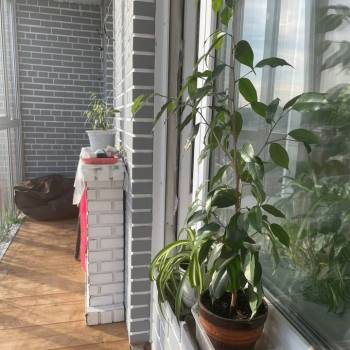 Сдается 1-комнатная квартира, 41,2 м²