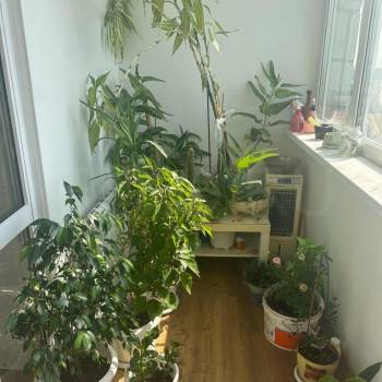 Продается 3-х комнатная квартира, 75 м²