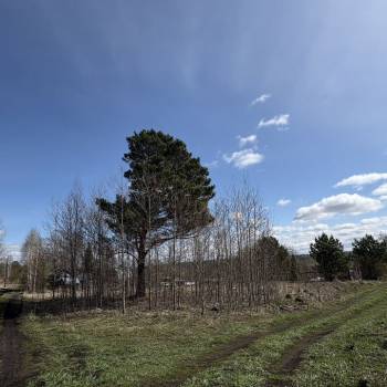 Продается Участок, 1300 м²