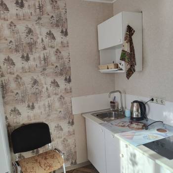 Сдается 1-комнатная квартира, 16,9 м²