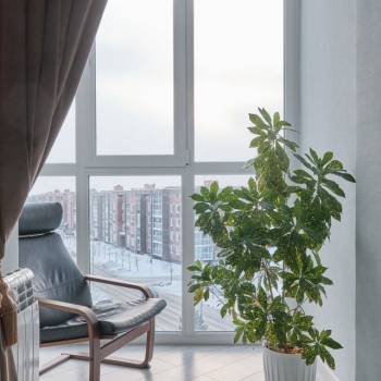 Сдается Многокомнатная квартира, 100 м²
