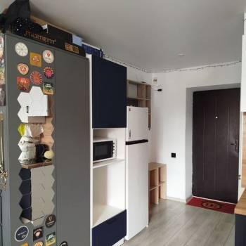 Продается 1-комнатная квартира, 24,8 м²