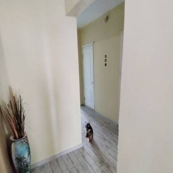 Сдается Многокомнатная квартира, 60 м²