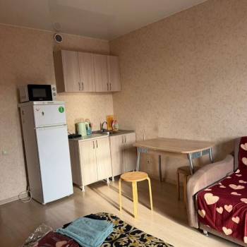 Сдается 1-комнатная квартира, 25,4 м²